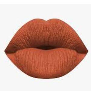 KARITY the mattes liquid lipstick shade ginger spice